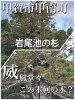岩尾池田の森「秋から冬のおでかけ　湖南市　甲賀市」