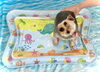 ぽん太くん「波とわんこ🌊」