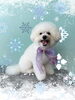 「Dog salon mofu mofu　余市町」