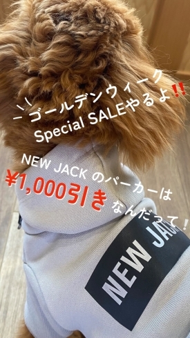 パーカー1,000円OFF「GW特別企画開催！愛犬と一緒に買い物できます♪」