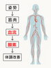 酸素不足が“なんとなく不調”の正体です「“なんとなく不調”は血流から整える！酸素不足・血行不良ケア｜南草津のカイロシガ整体院」