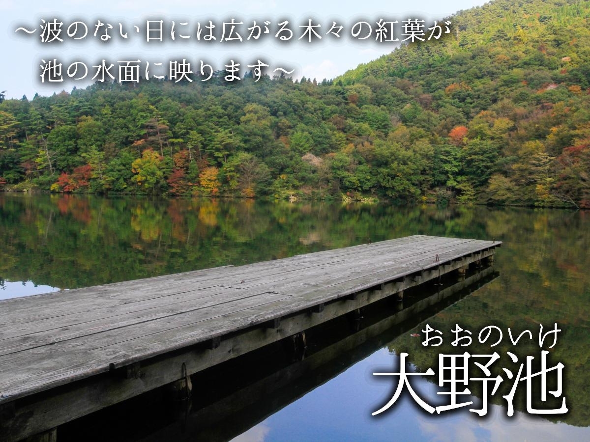 大野池　鳥取県　鳥取　西伯　西伯郡　大山　紅葉　大山レークホテル　湖　池　紅葉スポット　観光　観光スポット　紅葉狩り　絶景