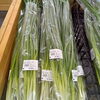 「採れたての新居浜産が勢ぞろい！新鮮な旬野菜と【地方祭に伴う休業のお知らせ】」