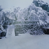 舞鶴雪景パート2