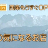 西条の気になるお店・施設！！