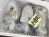 「魚魚市場鮮魚コーナーおすすめは「イサキ」「クロムツ」です♪」