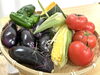 色とりどりの夏野菜。綺麗に並べました「6/23(日)低学年クラス レッスンレポート「夏野菜の物撮り編」！　江戸川区・小岩の子供向け動画スクール！」