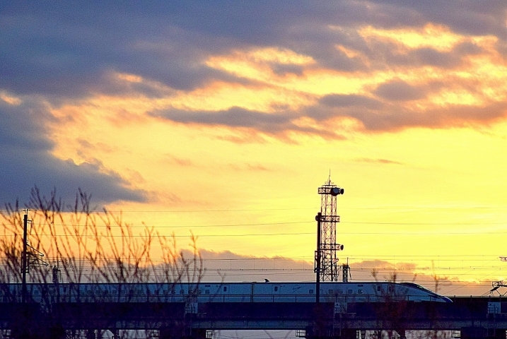 伊奈の風景 夕暮れの原市沼と新幹線 伊奈町 まちかどライター がゆく いなナビ 伊奈町