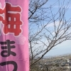 【2017】佐伯梅園梅祭り