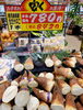 「今朝は雪でしたが…店内は春を色々と感じられますよ❕」