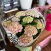 「今週は「母の日遅れてごめんね」ギフト承ります♪👩💐【越前市/花屋/生花/フラワーアレンジメント/ふるーれ・T】」