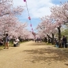 亀鶴公園