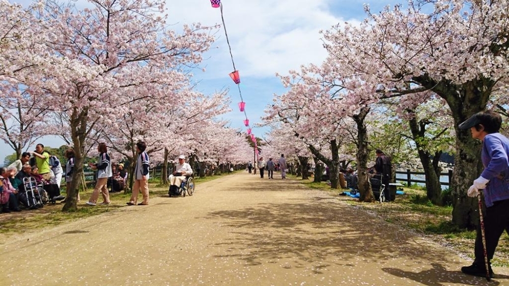 亀鶴公園 春を感じに出かけよう 高松の花見スポット特集 まいぷれ 高松市