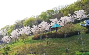 (4)桜の休み処と記念樹広場周辺