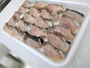 サワラの炙り「サワラのお寿司　《村上市最大の魚介類専門店　新鮮な鮮魚　お土産ももりだくさん　岩船港の魚は美味しいよ》」