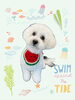 「Dog salon mofu mofu　余市町」