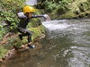 「じっくり生き物探し」