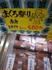 「　まぐろ祭り始まったよ！　 【八千代店１００号】→八千代道の駅」