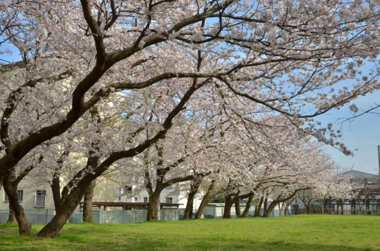 広場のある穴場です♪