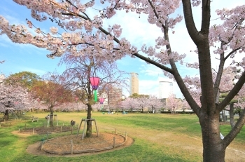 史跡高松城跡 玉藻公園 春を感じに出かけよう 高松の花見スポット特集 まいぷれ 高松市