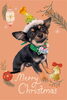 「Dog salon mofu mofu　余市町」