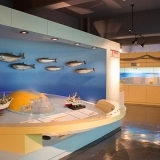 漁業や広尾町の歴史に注目！「広尾町海洋博物館・郷土文化保存伝習館」