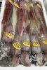 「魚魚市場鮮魚コーナーおすすめは「本ガツオ」です♪」