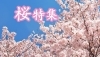 桜特集 三島市 田方郡函南町 駿東郡長泉町 清水町のお花見スポット 桜開花情報 まいぷれ 三島