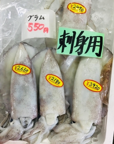 「魚魚市場鮮魚コーナーおすすめは「金目鯛・ノドグロ」です♪」