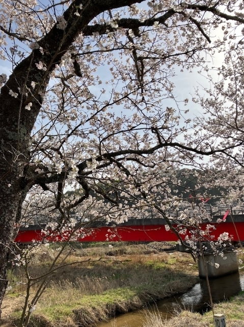 法勝寺川沿い  南部町