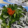 「朝取れの魚を使ってるから鮮度抜群✨️」