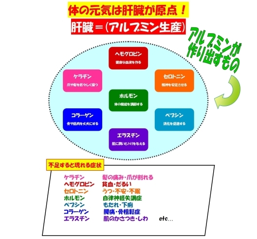 「もの言わぬ臓器は重要」