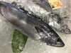 「魚魚お市場鮮魚コーナーおすすめは「クロムツ」です♪」