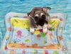 ねろちゃん「波とわんこ🌊」