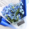 デルフィニウムの花束「delfino-デルフィーノ」