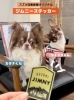オリジナルステッカーもよろしくお願いします🐶❤️「SUZUKIグッズ販売中🚗✨　ジムニーやハスラーグッズ沢山あります❗️ スズキ自販愛媛　スズキアリーナ川之江」