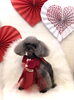 くるみちゃん／テディベア　ロング「Happy Valentine ♡」