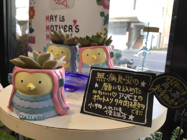 大人気！再入荷！「来月5月9日は母の日！お知らせもあり♪」