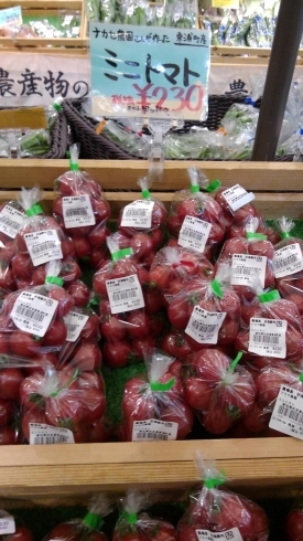 ナカセ農園さんミニトマト入荷しております「とれたて⭐あまーいとうもろこし⭐150円」