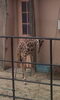「やまね☆子育てコラム 32  安佐動物公園」