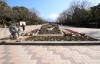 鹿児島県立 吉野公園 お花見するならココ 鹿児島市 日置市の桜特集 まいぷれ 鹿児島 日置 鹿児島県立 吉野公園 お花見するならココ 鹿児島市 日置市の桜特集 まいぷれ 鹿児島 日置