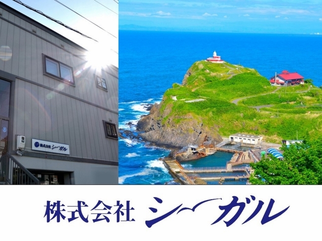 「株式会社シーガル」オフィスのコピー・事務機器・印刷のことなら迅速・丁寧な当社へ