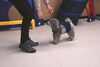 「今日のお友達」