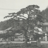 昭和40年頃の麻生町役場から見える「大雅」