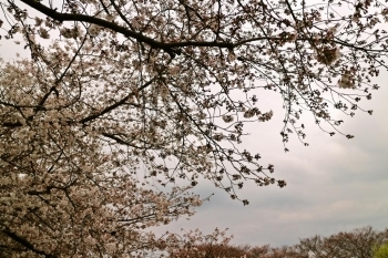 天気が良ければ・・・泣