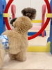 もっちーちゃんジャンプ💨眺めるペルルちゃん＆ソル「ましゅまろ幼稚園🐾」