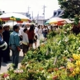 2019正ノ木祭（稲積神社）