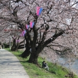 『春のいろは親水公園まつり』に行ってきました！！