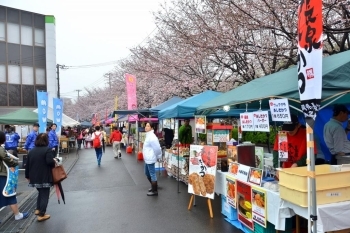 たくさんのお店が並びます