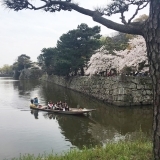 桜や紅葉も楽しめる、和歌山城で遊覧船体験